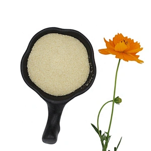 Top halal grade food additive edible gelatin 180 Bloom gelatin with good price